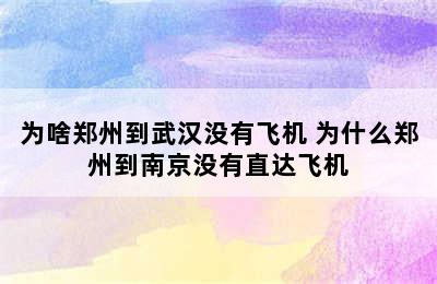 为啥郑州到武汉没有飞机 为什么郑州到南京没有直达飞机